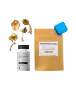 First Timer Magic Mushroom Kit: Psych 101 – An Introduction to Psychedelics